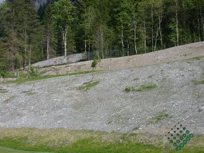 golfbrand 17