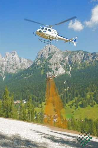scheierheli 18